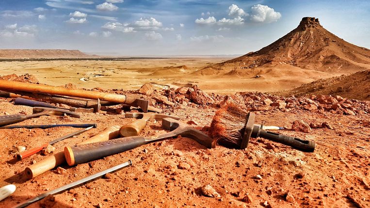 De plaats van opgraving in het Kem Kem-gebied in de Marokkaanse Saharawoestijn.