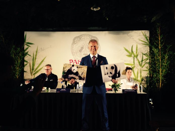 Panda S Ouwehands Heten Wu Wen En Xing Ya Utrecht Ad Nl