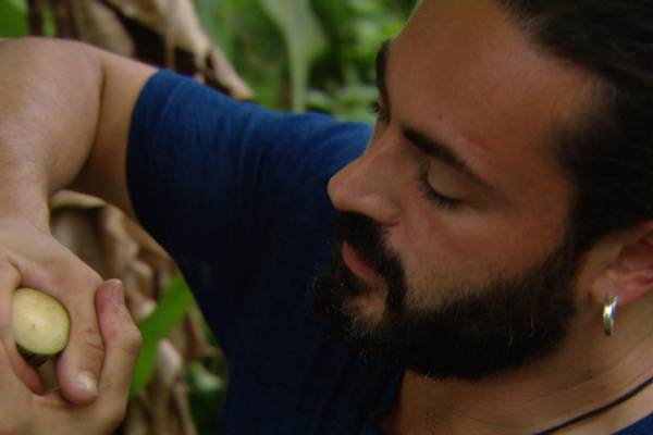 De 5 smaken van Joël