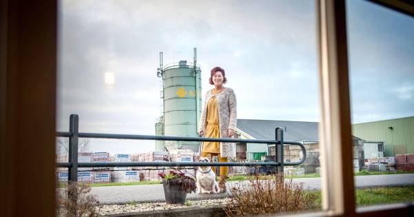 Wonen tegenover een vervallen betonfabriek: ‘Dit is het lelijkste stukje van heel Appeltern’