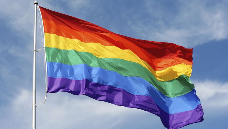 De Alomtegenwoordigheid Van De Regenboogvlag Trouw