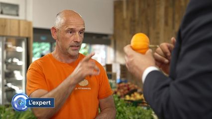 31. Citrouille : tous les bienfaits de ce légume bon marché