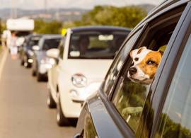 Op déze dagen is het zwarte zaterdag (plus tips voor als je tóch de weg opgaat)