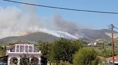 Dorpen op Zakynthos ontruimd om natuurbrand