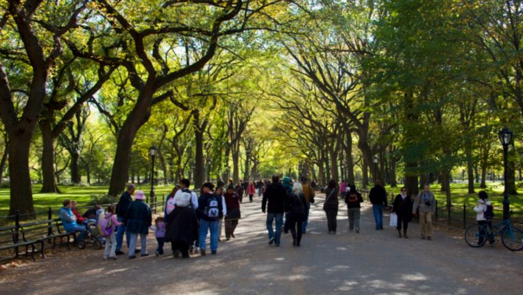 Man Met Hamer Gaat Toerist In Central Park Te Lijf Het Parool