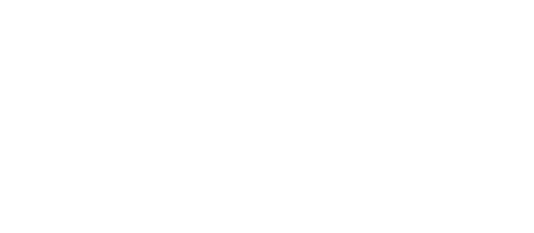 La vie secrète d'une famille parfaite