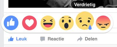 Vader wanhopig op Facebook: 'Stop met pesten van mijn autistische zoon'