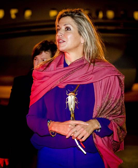 Koningin Maxima op vliegveld Figo Maduro.