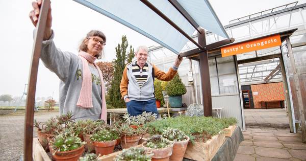 'Gratis vlinderstruik? Kom naar de groene markt'
