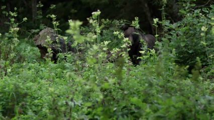 Aflevering 1