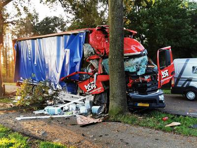 Vrachtwagen ramt boom bij Babberich