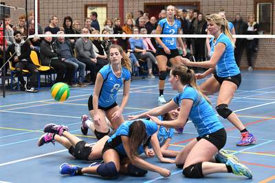 Volleyballers van Volt kiezen voor Beers als thuisbasis: ‘Simpelweg betere faciliteiten’