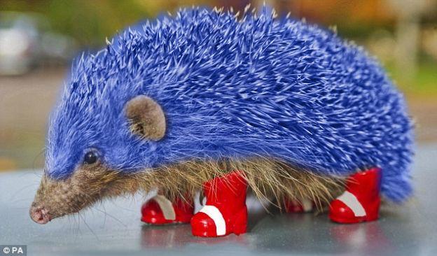 Sonic the Hedgehog realistisch