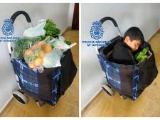 Un couple marocain arrêté à la frontière espagnole: il cachait un enfant dans leur chariot de courses