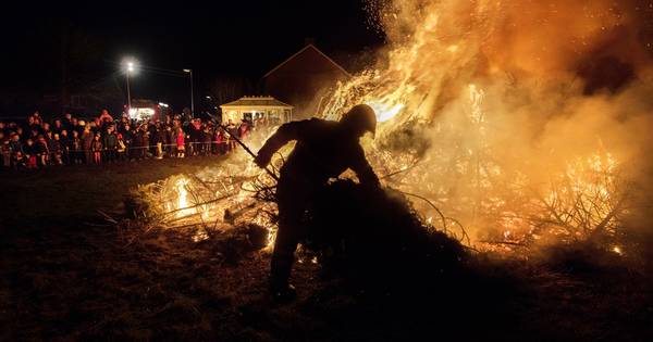 Kerstboom gaat op in vreugdevuur of in potgrond