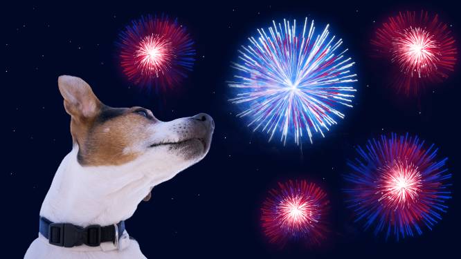 Ikknalzondervuurwerk Brandweer Lanceert Nieuwe Bewustmakingscampagne Rond Vuurwerk Binnenland Hln Be
