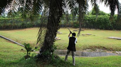 Gas, gif en kogels tegen de vogels in Singapore