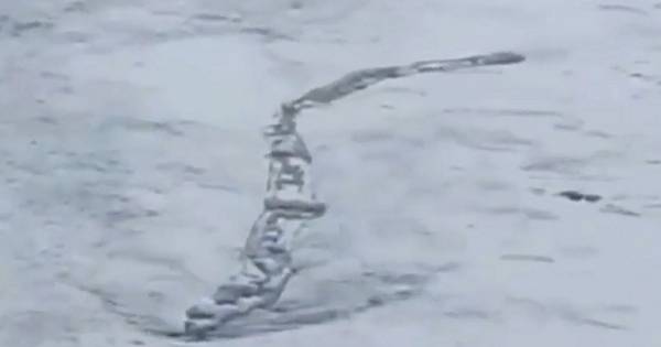 Videobeelden Van Ijslandse Nessie Zijn Authentiek Bizar Ad Nl