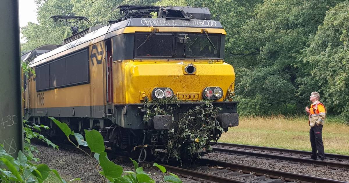 Treinen tussen Deventer en Zutphen rijden