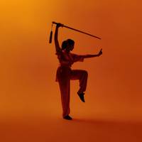 Exclusief voor abonnees: ontdek de expo ‘Martial Arts’ in het MAS