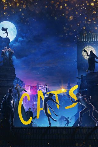 Cats