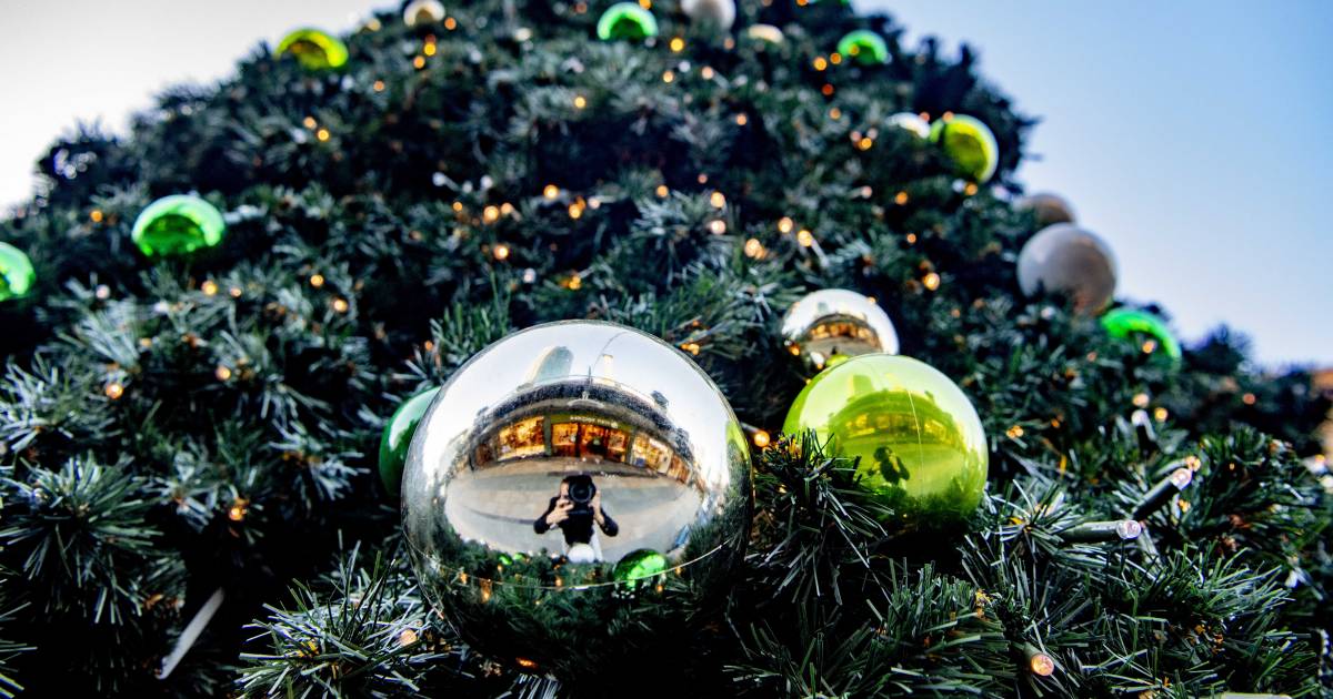 OMT-advies: Vier kerst en jaarwisseling met maximaal zes gasten uit de  eigen regio | Politiek | AD.nl