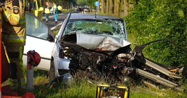 Gemist? Celstraf voor doodrijder. En hoe een klein dorp groot kan zijn: 80.000 euro voor zieke Cynth