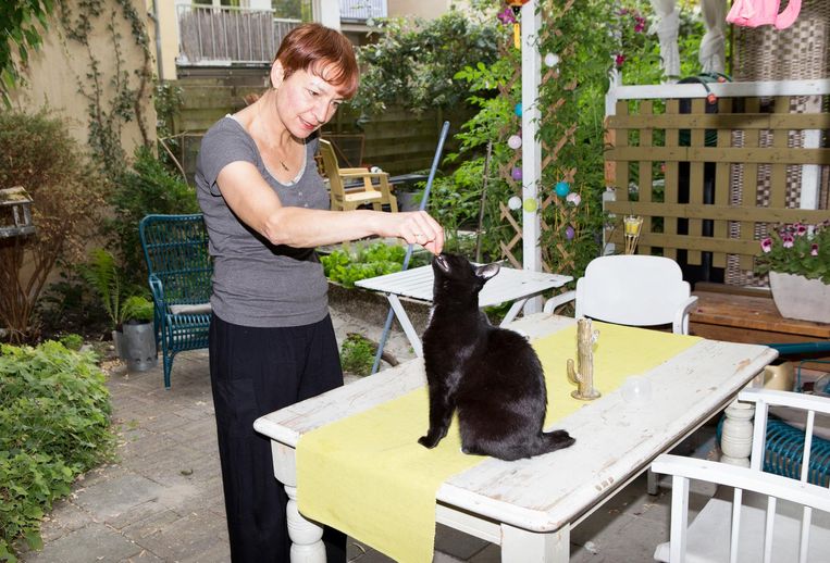 katten in therapie het baasje moet het doen het parool