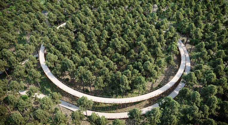 Na fietsen door het water, nu ook fietsen door de bomen ...