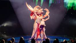 Kings & Queens move over, hier is King Krab