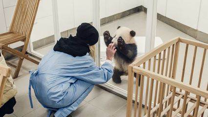 9. Pairi Daiza