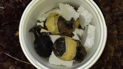 Acht handgranaten gevonden op woonwagenkamp in Lith, verdachte ontkomt aan politie