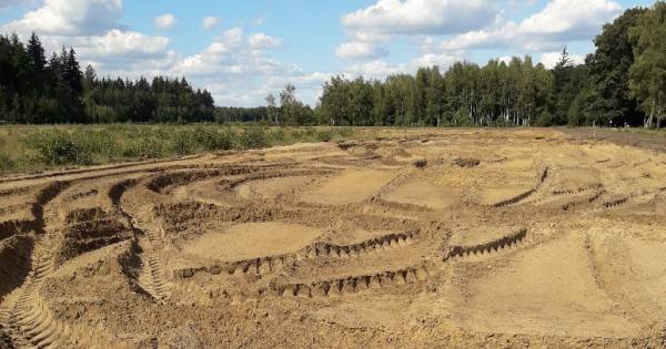 Boswachters op zoek naar cross-vandalen | Cranendonck, Heeze-Leende - Eindhovens Dagblad