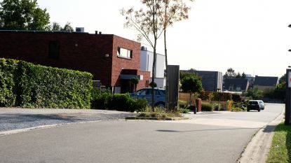 Man 74 Overleden Tijdens Het Verzorgen Van Koi Die Vissen Waren Zijn Leven Heist Op Den Berg Hln Be