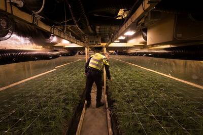 Zijn dorpen en buurten de ideale plek voor wietkwekerijen?