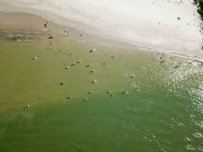 Zo ziet het warme weekend eruit vanuit de lucht