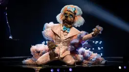 Move over Lenny, hier is Labradoodle! - The Masked Singer
