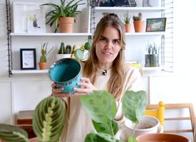 Plant verpotten: hoe doe je dat eigenlijk?
