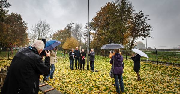 Nieuwe ooievaarsnesten in Beek en Breedeweg