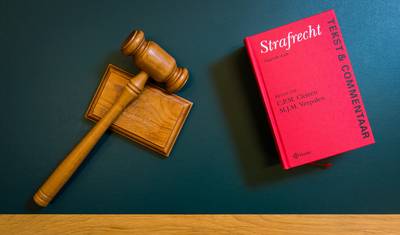 Hoge taakstraf voor handgemeen na burenruzie over nepkraaien