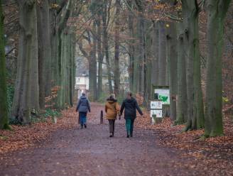 Een half punt op zes: Vlaanderen scoort bar slecht op Europese natuurdoelen