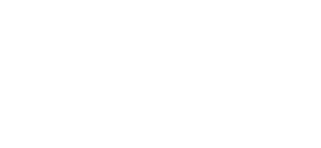 Un an, une nuit