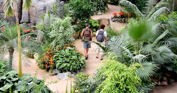 Risico's van vogelgriep houden OrchideeÃ«nhoeve dicht