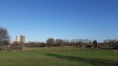 Lastige erfenis KV Wageningen op De Eng
