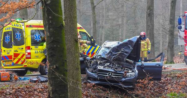 46-jarige man uit Sambeek komt om bij ongeluk in De Rips - BD.nl