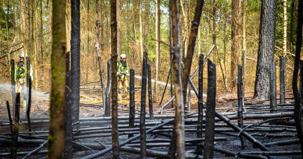 Weer brandstichting ? Bosbrand in Epe trekt veel toeschouwers: ‘Kom niet kijken en neem coronamaatregelen in acht'.