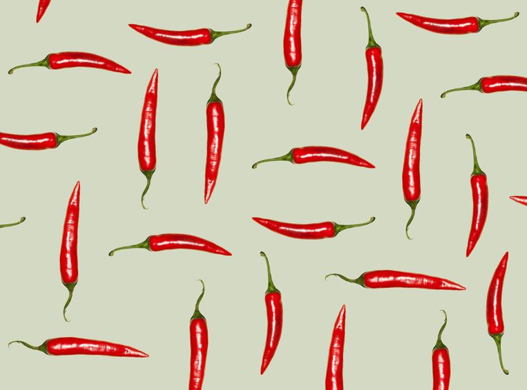 Volkskeuken Buispasta Met Ui Ansjovis En Chilipeper De Volkskrant