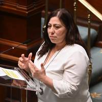 Groen: breid auteursrecht uit naar lichaam, gezicht en stem