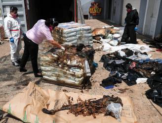 Lichamen van zeven verstekelingen aangetroffen in container na reis van drie maanden