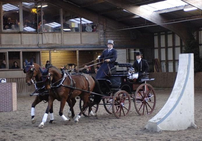 Eindelijk hoofdprijs voor Gosschalk | Epe | destentor.nl